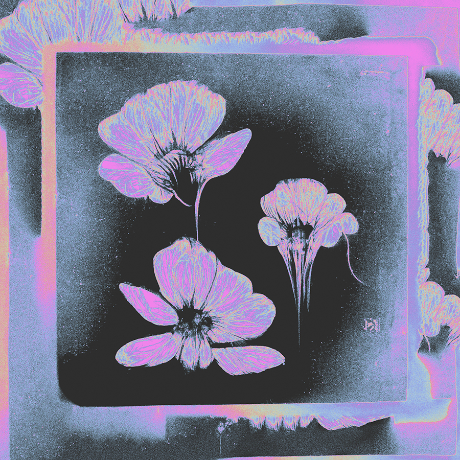 collage of flowers with bright gradients